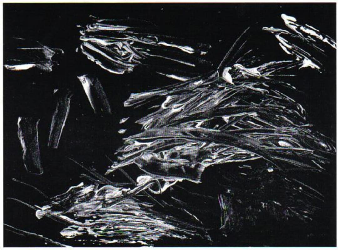 Jean-Michel Stephan Cote Rotie Coteaux de Tupin 2013 Front Label