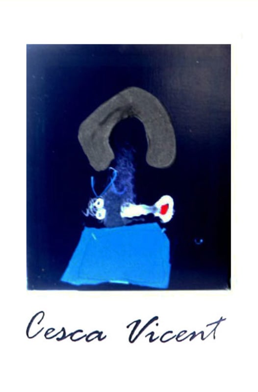 Cesca Vicent Priorat 2008 Front Label