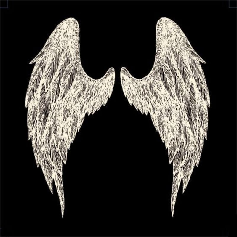 Angel Camp Avenging Angel Pinot Noir 2012 Front Label