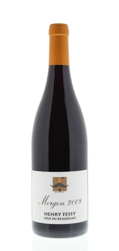 Henry Fessy Morgon 2009 Front Bottle Shot