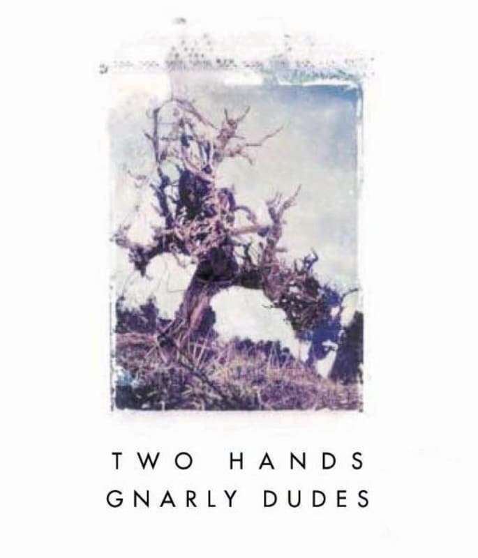 Two Hands Gnarly Dudes Shiraz 2010 Front Label
