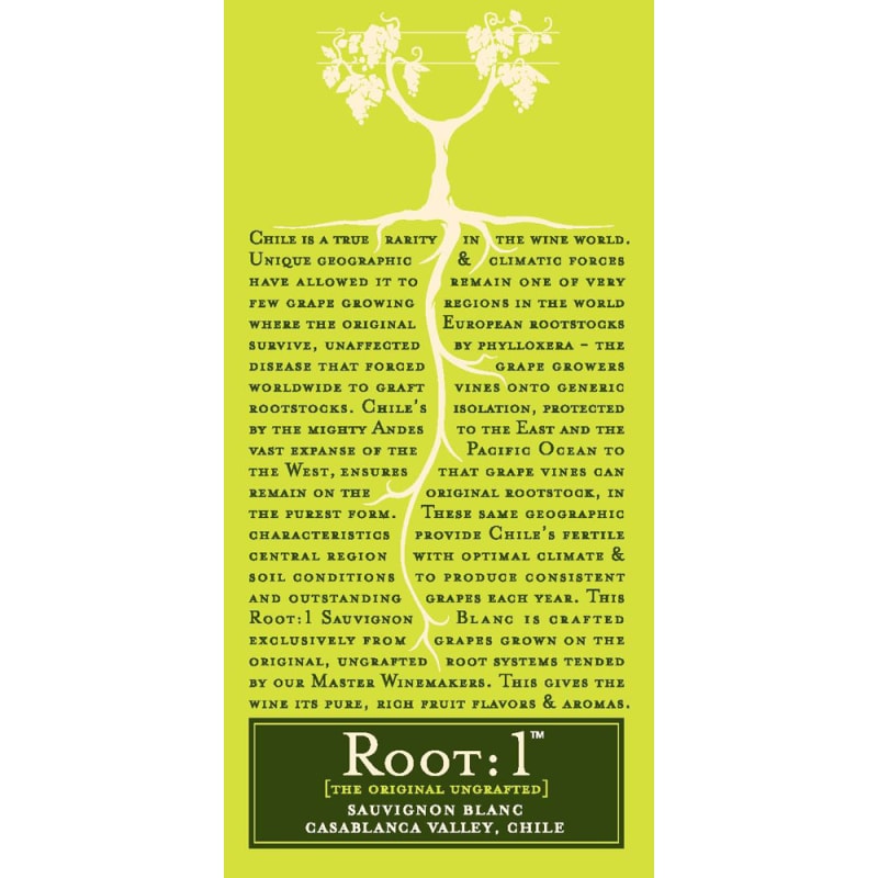 Root:1 Sauvignon Blanc Reserva 2011 Front Label