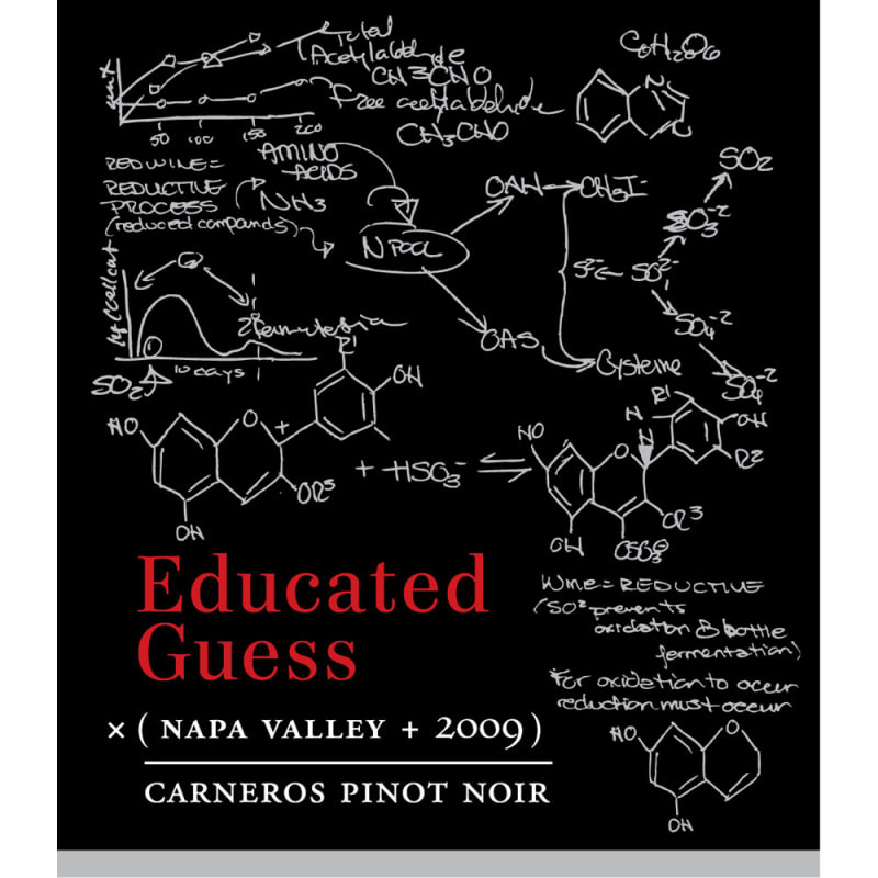Roots Run Deep Educated Guess Pinot Noir 2009 Front Label