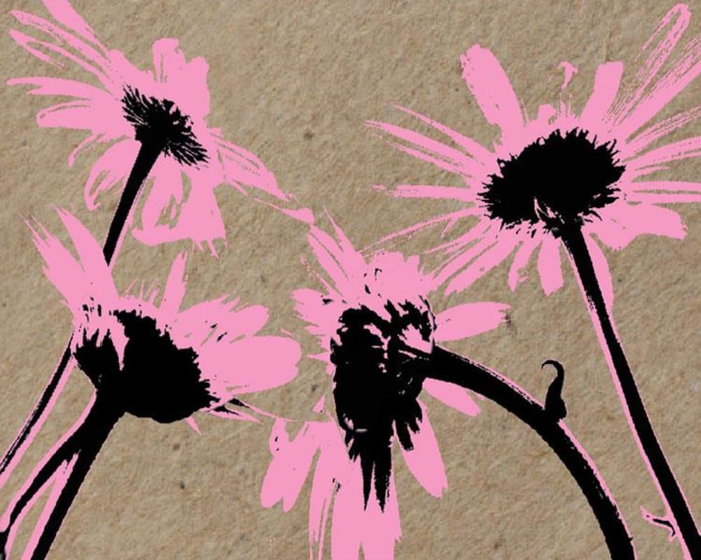 Herman Story White Hawk Vineyard Syrah 2013 Front Label