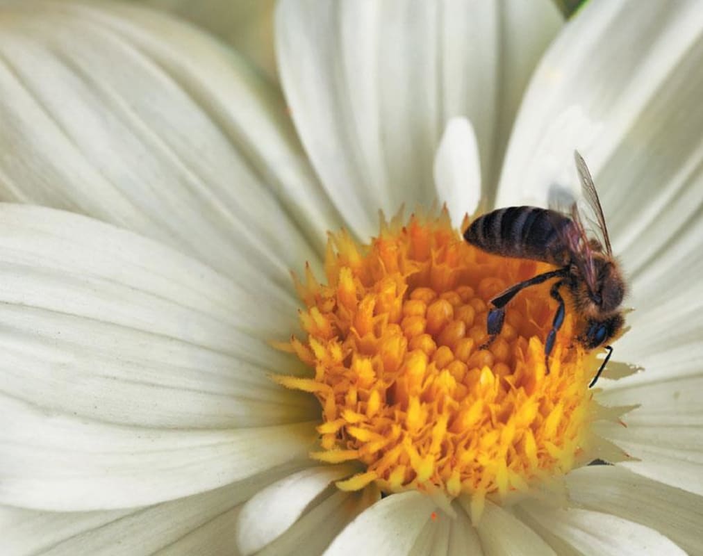 Herman Story Casual Encounters 2011 Front Label