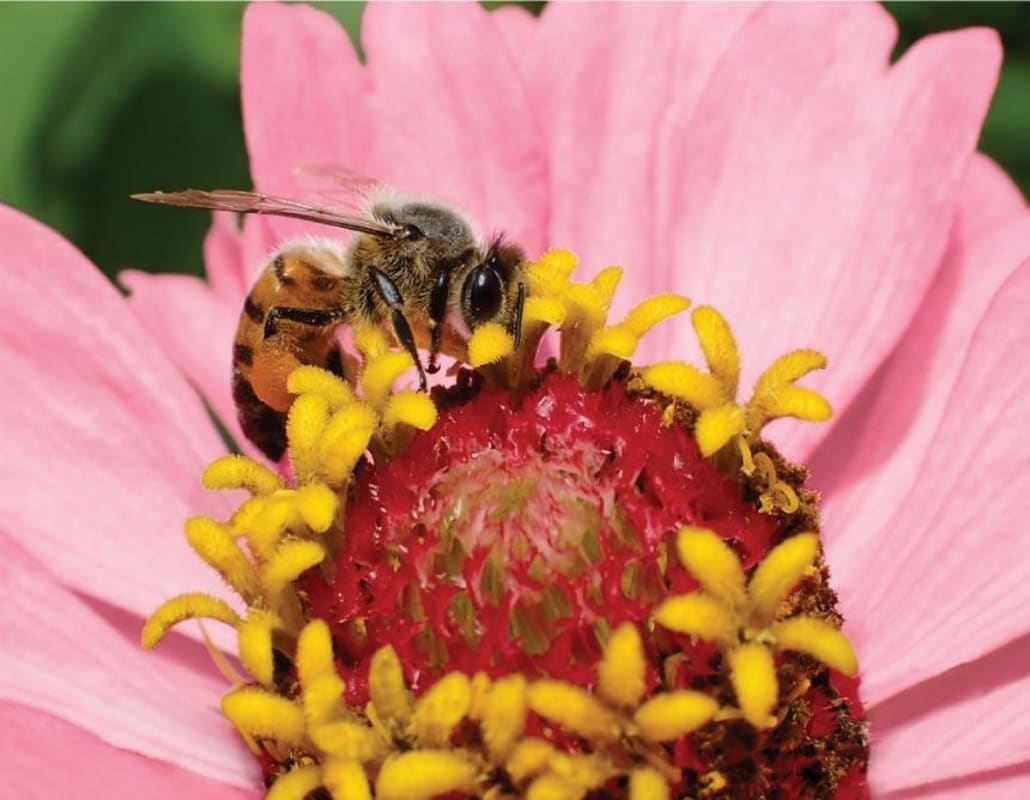 Herman Story Casual Encounters 2012 Front Label