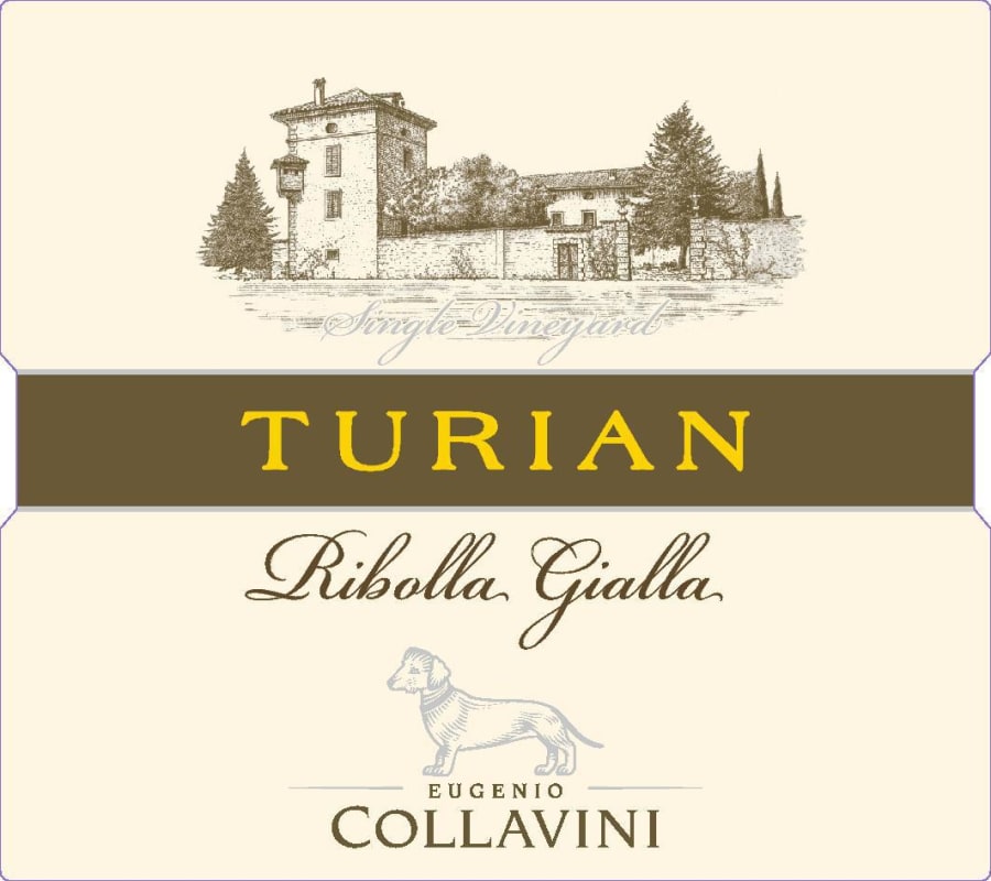 Collavini Turian Ribolla Gialla 2015 Front Label