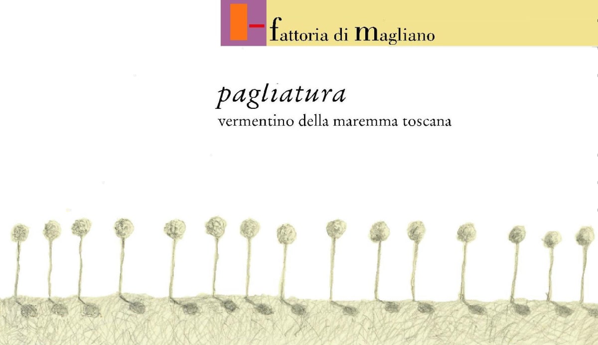 Fattoria di Magliano Pagliatura Vermentino 2013 Front Label