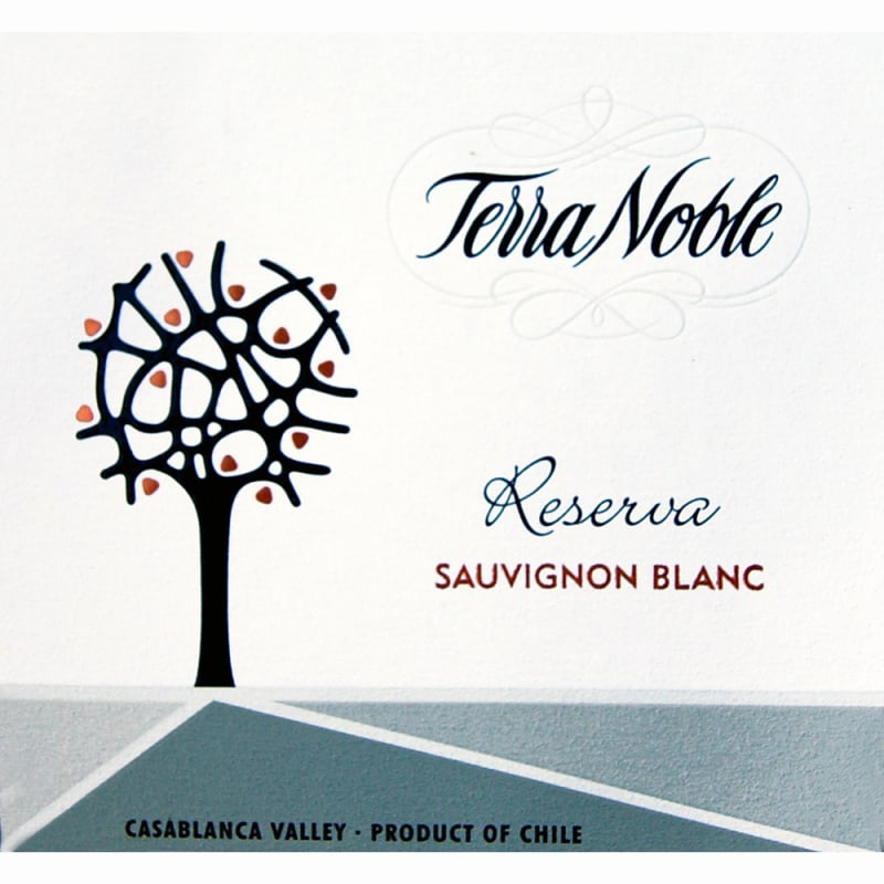 TerraNoble Reserva Sauvignon Blanc 2012 Front Label