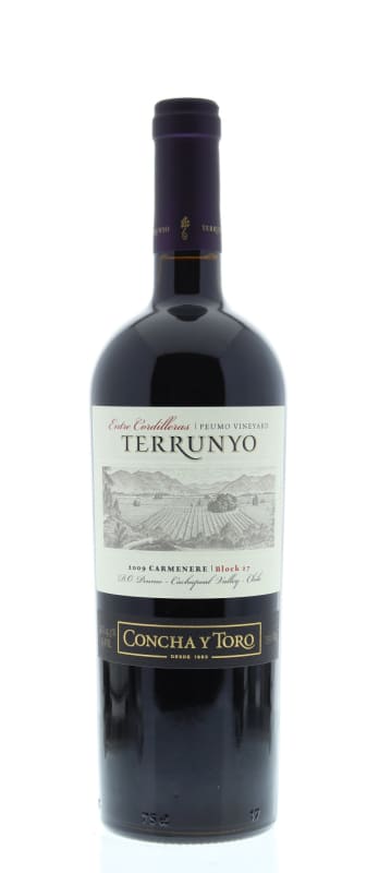 Terrunyo Carmenere 2009 Front Bottle Shot