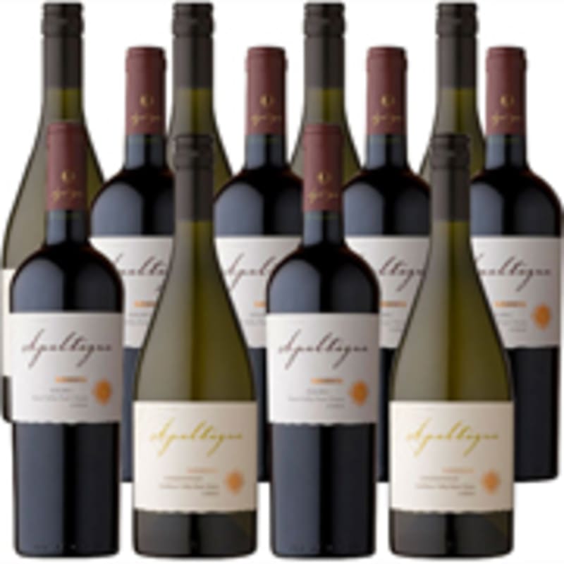 Apaltagua Chardonnay & Malbec Mixed 12-Pack Gift Product Image