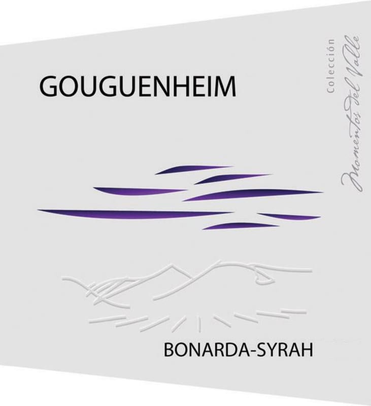 Gouguenheim Valle Escondido Bonarda - Syrah 2010 Front Label