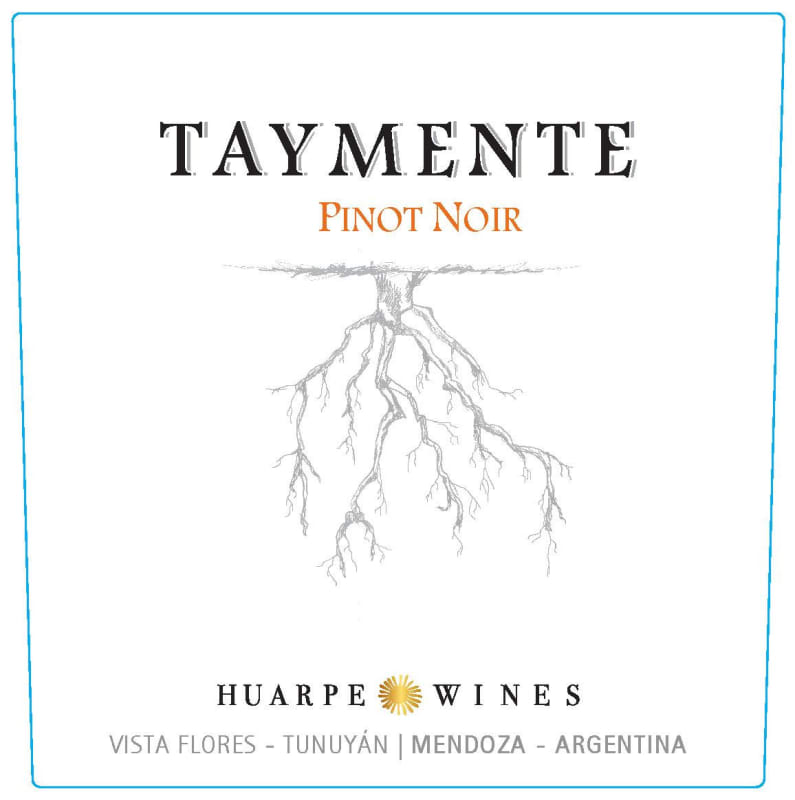 Huarpe Taymente Pinot Noir 2013 Front Label