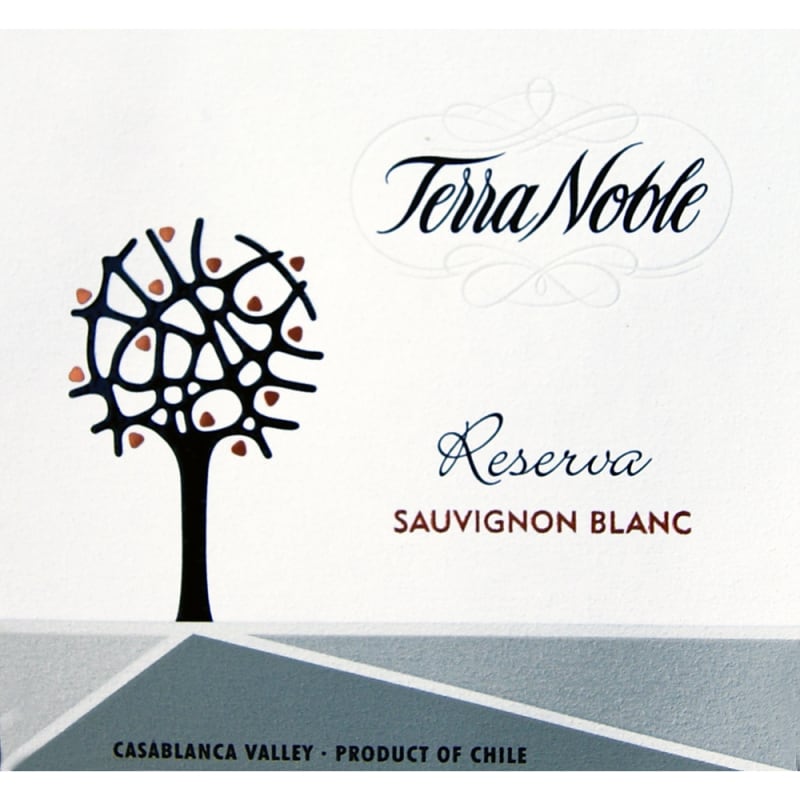 TerraNoble Reserva Sauvignon Blanc 2013 Front Label