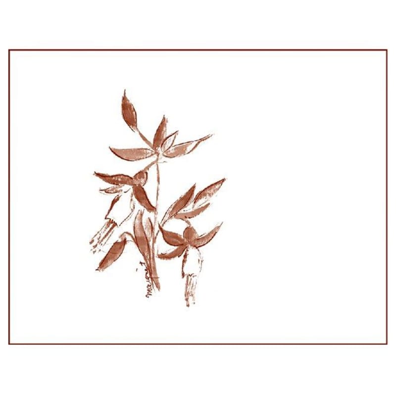 Arnot-Roberts Alder Springs Syrah 2010 Front Label