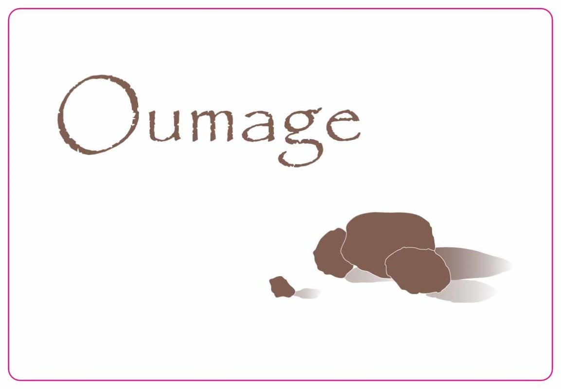 Dom. Le Sang Des Cailloux Vacqueyras Oumage 2014 Front Label