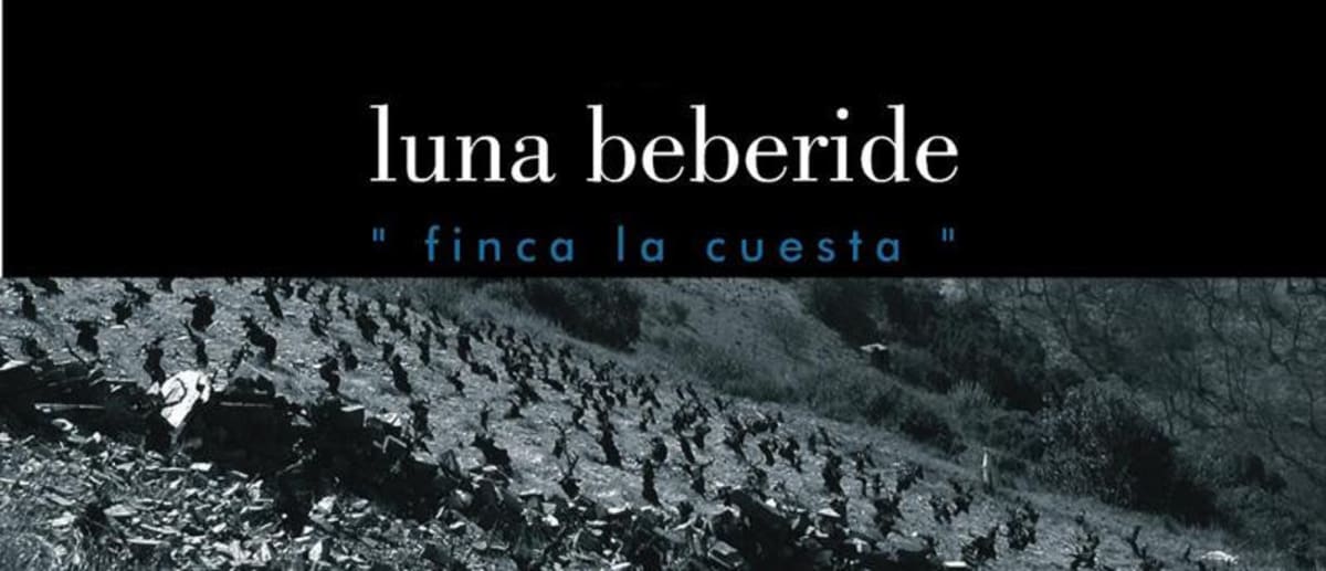 Bodegas y Vinedos Luna Beberide Finca la Cuesta 2008 Front Label