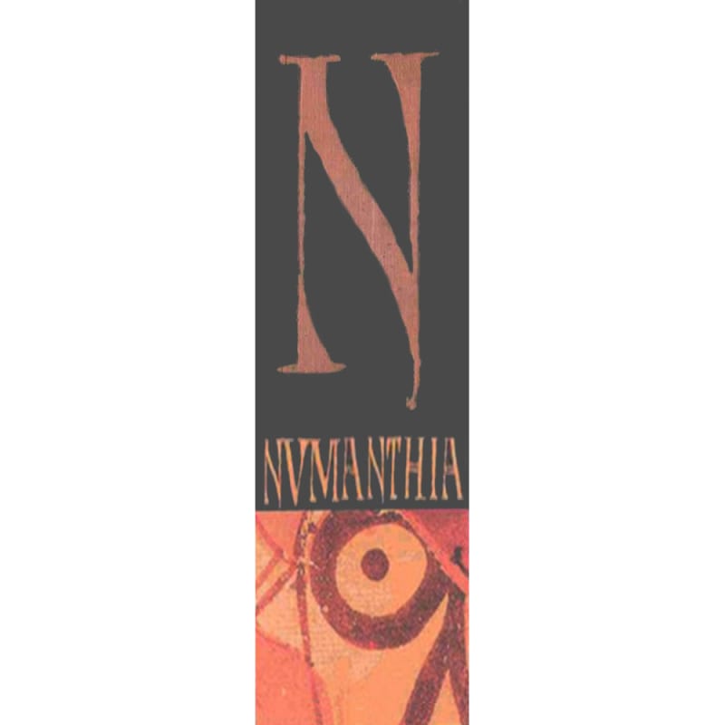 Numanthia Toro 1999 Front Label