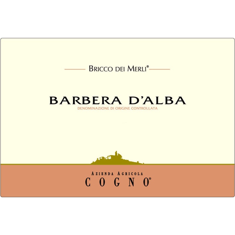 Elvio Cogno Bricco dei Merli Barbera 2013 Front Label