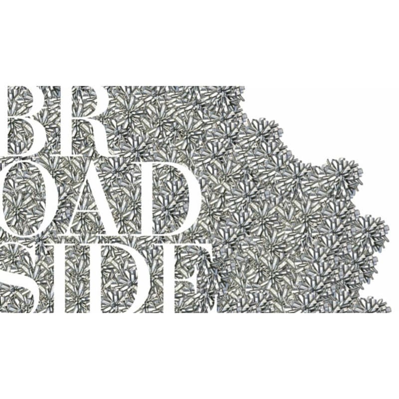 Broadside Wild Ferment Chardonnay 2013 Front Label