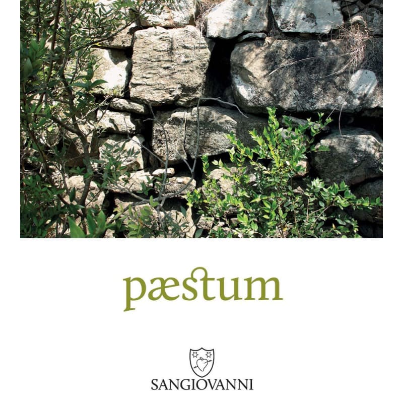 Pasini San Giovanni Paestum Fiano 2012 Front Label