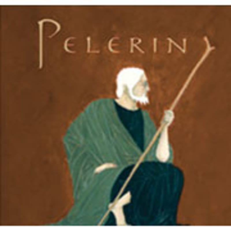 Pelerin Mesa del Sol Vineyard Sangiovese 2009 Front Label