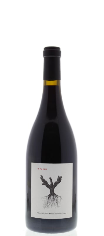 PSI by Pingus Ribera del Duero 2012 Front Bottle Shot