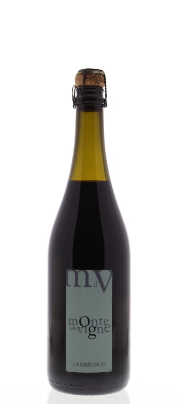 Monte delle Vigne Lambrusco Classico 2013 Front Bottle Shot