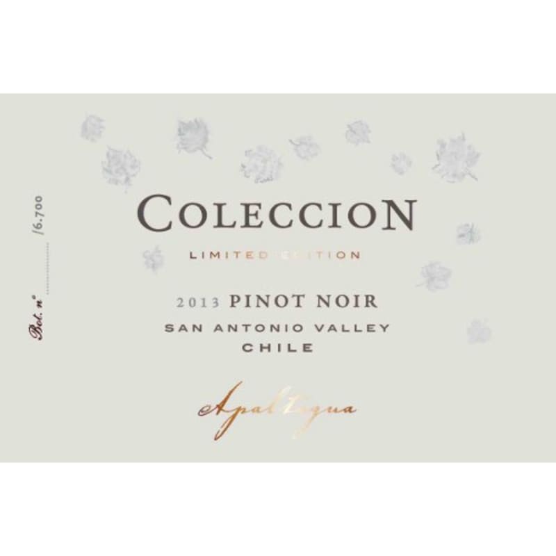 Apaltagua Coleccion Pinot Noir 2013 Front Label