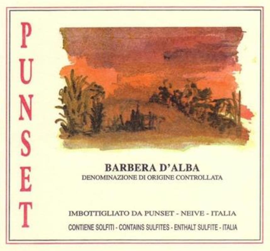 Punset Barbera d'Alba 2013 Front Label