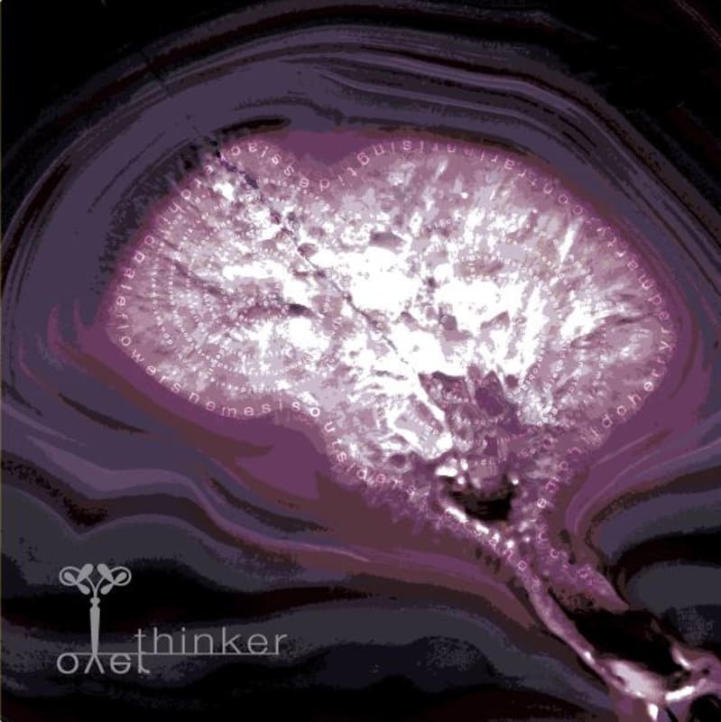 Linne Calodo Overthinker Red Blend 2010 Front Label
