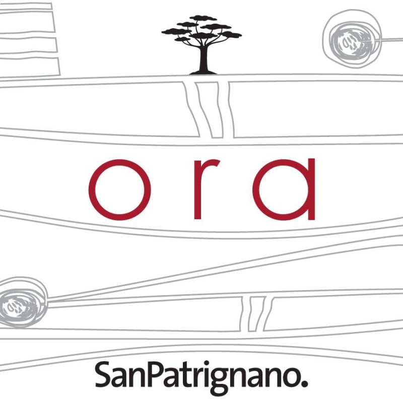 San Patrignano Romagna Ora Superiore Sangiovese 2013 Front Label
