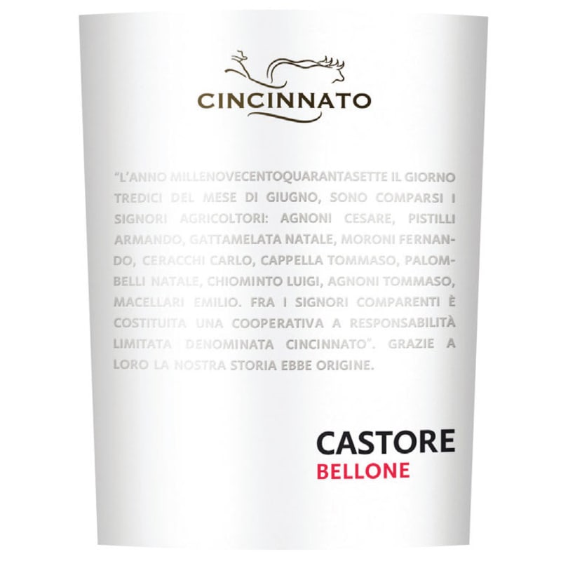 Cantina Cincinnato Castore Lazio Bellone 2013 Front Label