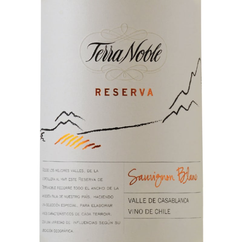 TerraNoble Reserva Sauvignon Blanc 2015 Front Label
