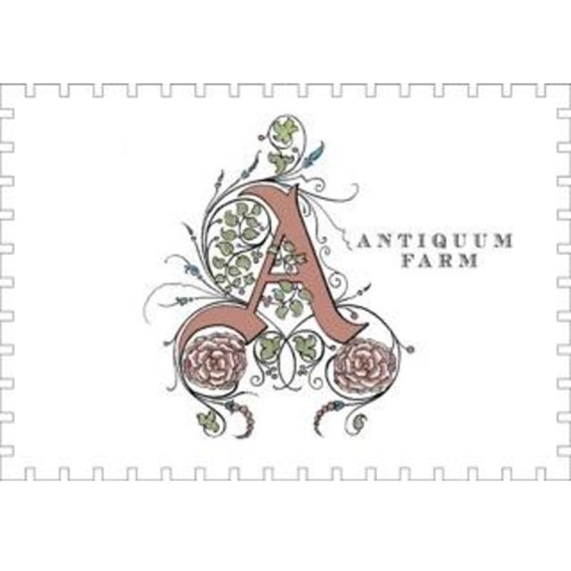 Antiquum Farm Daisy Pinot Gris 2015 Front Label