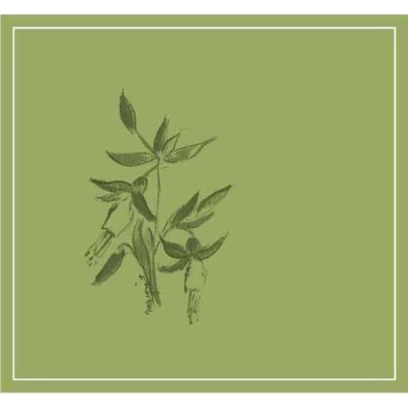 Arnot-Roberts Napa Valley Vare Vineyard Ribolla Gialla 2011 Front Label