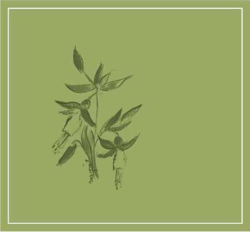 Arnot-Roberts Napa Valley Vare Vineyard Ribolla Gialla 2009 Front Label