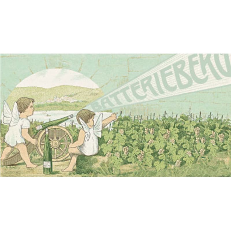Immich-Batterieberg Ellergrub Riesling 2013 Front Label