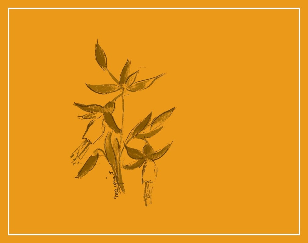 Arnot-Roberts Luchsinger Vineyard Trousseau 2014 Front Label