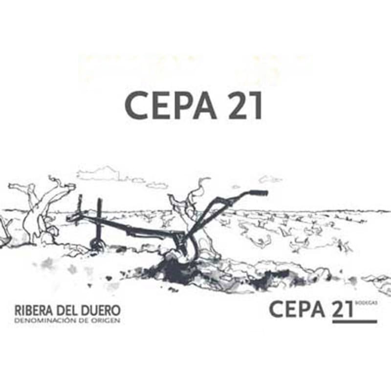 Bodegas Cepa 21 Ribera del Duero 2013 Front Label