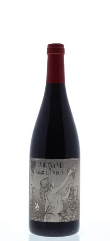 La Buena Vid Rioja 2013 Front Bottle Shot