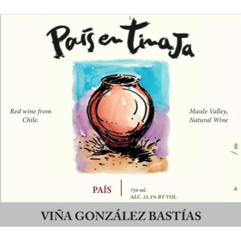 Vina Gonzalez Bastias Tinaja 2013 Front Label