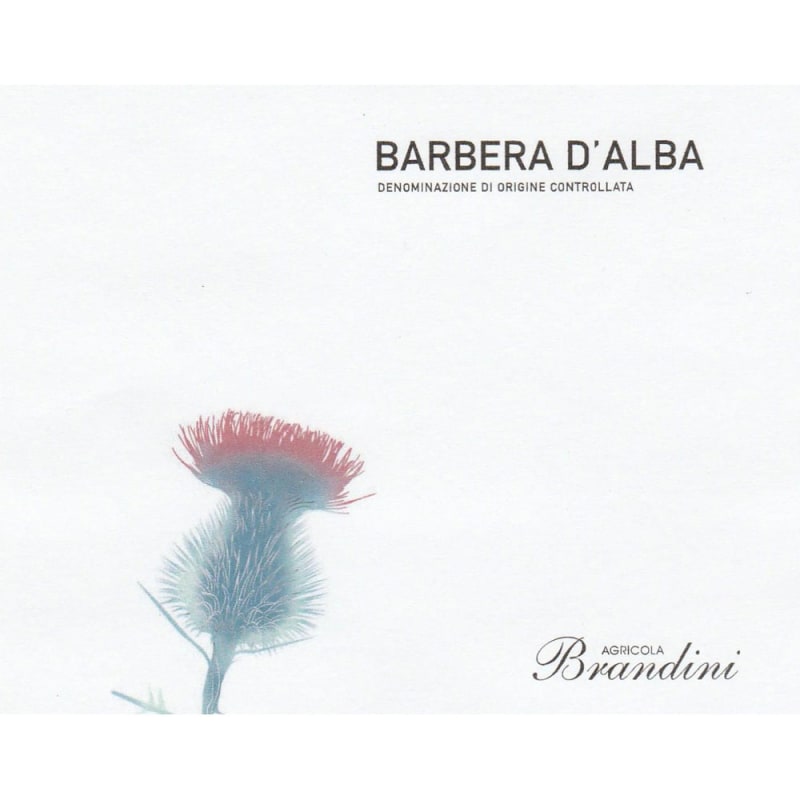 Brandini Barbera d'Alba 2013 Front Label