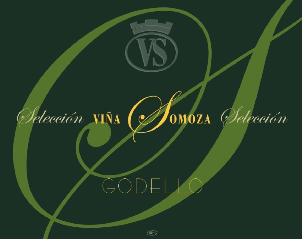 Bodegas Y Vinedos Vina Somoza Seleccion Godello 2007 Front Label