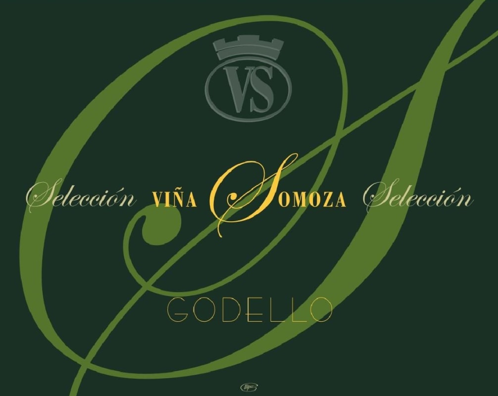 Bodegas Y Vinedos Vina Somoza Seleccion Godello 2006 Front Label
