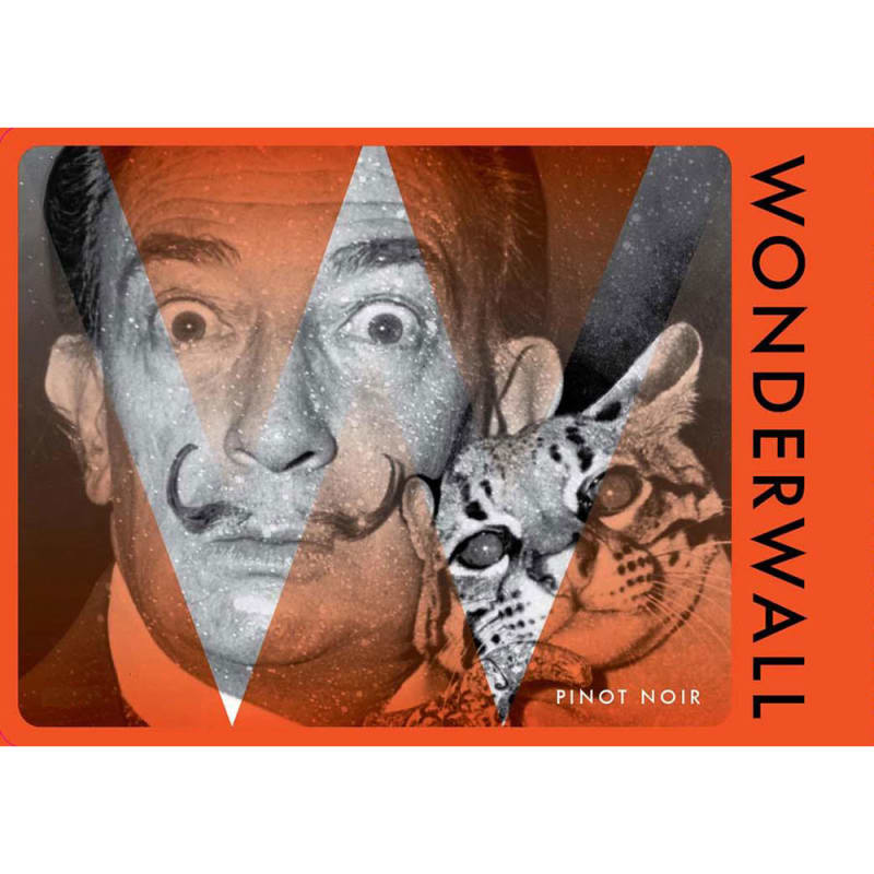 Field Recordings Wonderwall Pinot Noir 2015 Front Label