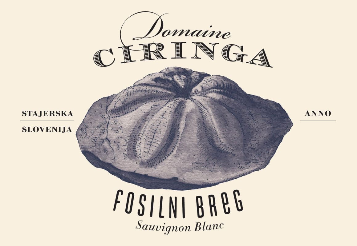 Tement Fosilni Breg Sauvignon Blanc 2013 Front Label