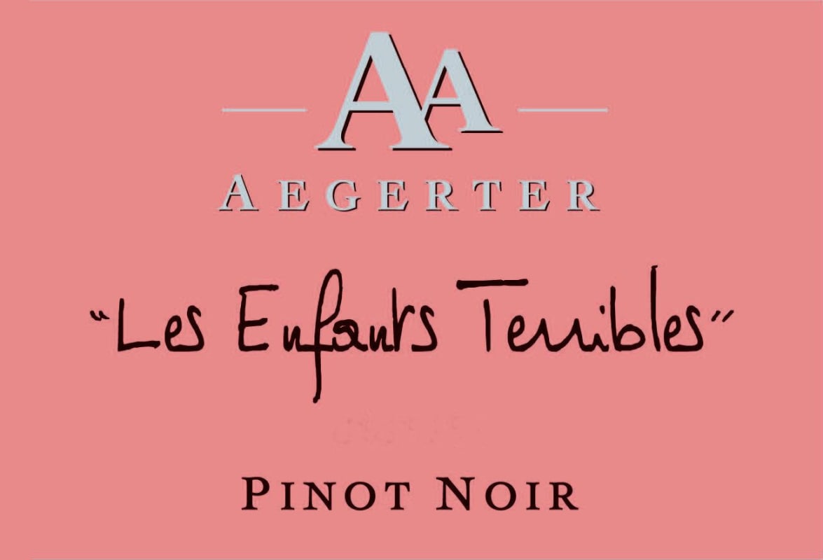 AA Aegerter Bourgogne Les Enfants Terribles Rouge 2015 Front Label