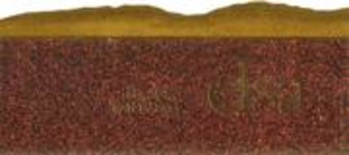 Elsa Bianchi Malbec 1998 Front Label