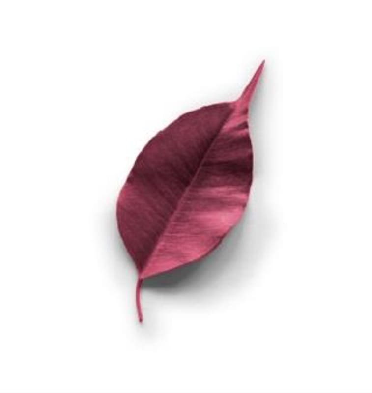 Pedralonga DoUmia Tinto 2013 Front Label